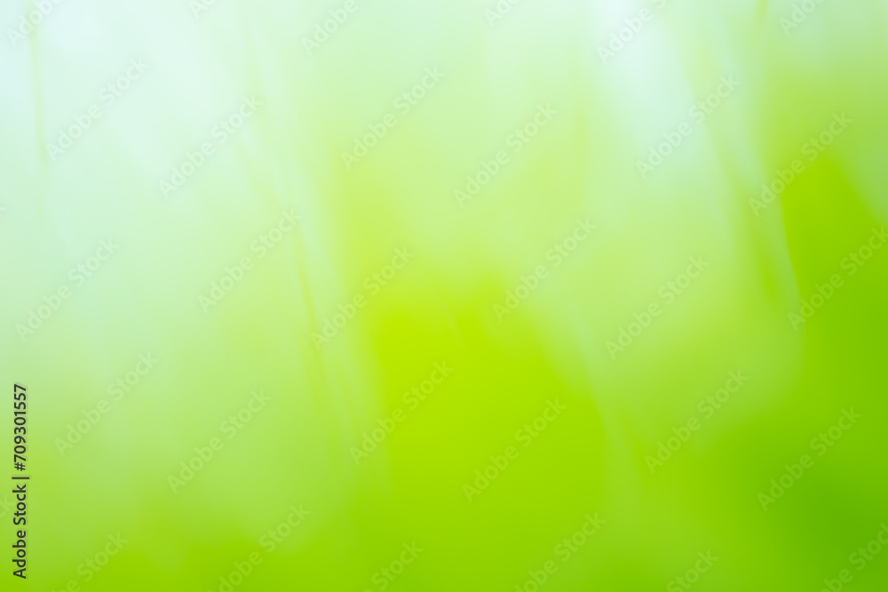 Juicy fresh green grass as a spring blurred background