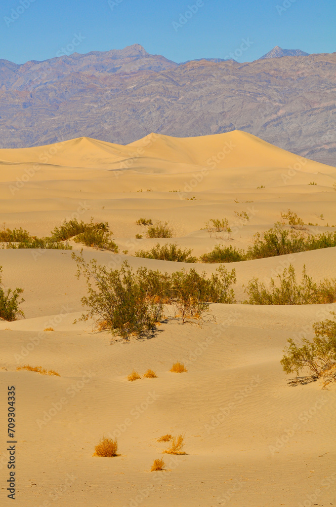 Mesquite Flat Sand Dunes surrounded by the barren mountains of Death Valley National Park, California, USA.