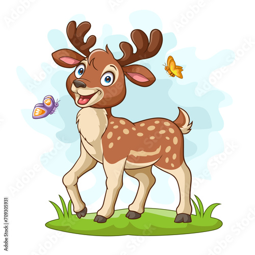 Cute baby deer in the grass