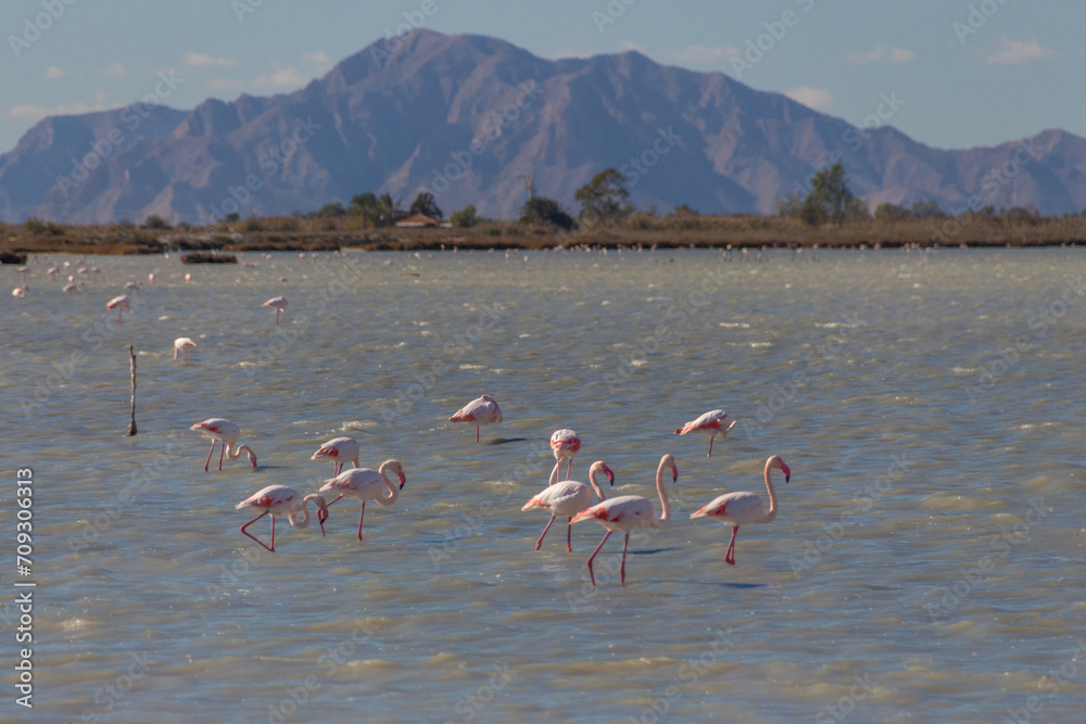 En la provincia de Alicante las salinas de Santa Pola y su Torre de Tamarit en un paraje natural muy bello