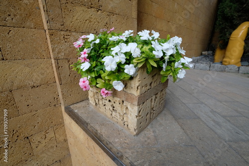 beautiful blooming bouquet of flowers