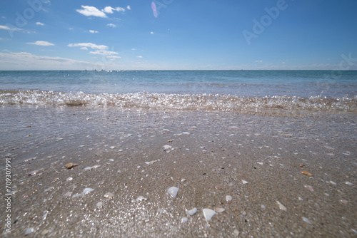 on the shores of the Black Sea