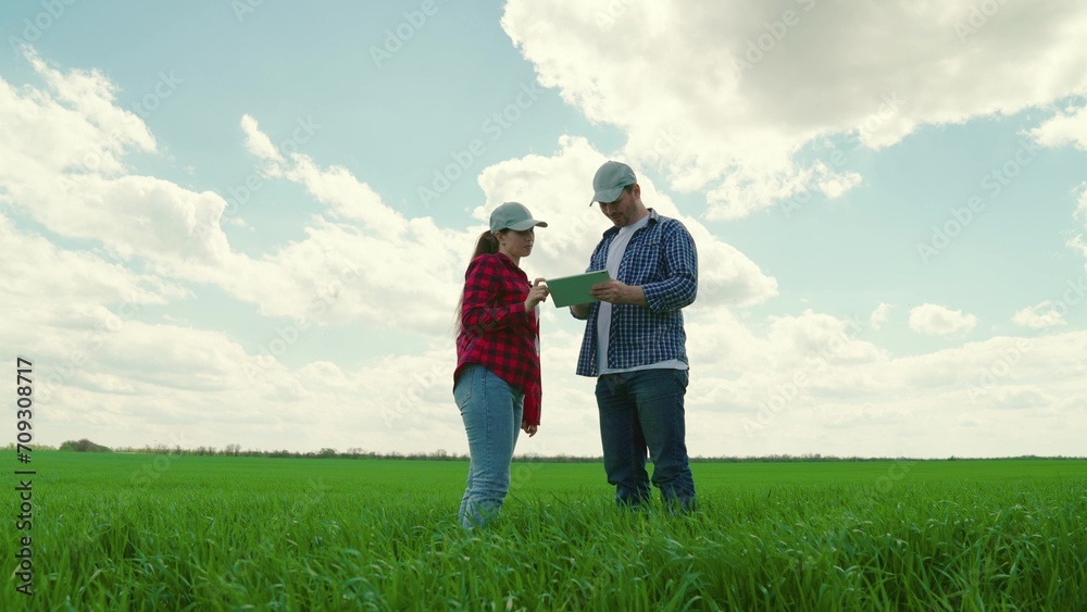 Teamwork of business people in agriculture. Farmers woman, man with computer tablet are working on green wheat field, discussing harvest, grain sprouts. Smart farming with online management software