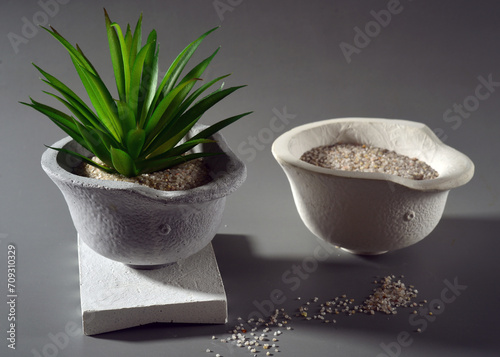 Ceramic pots with aloe vera  on a gray background. Studio shot.