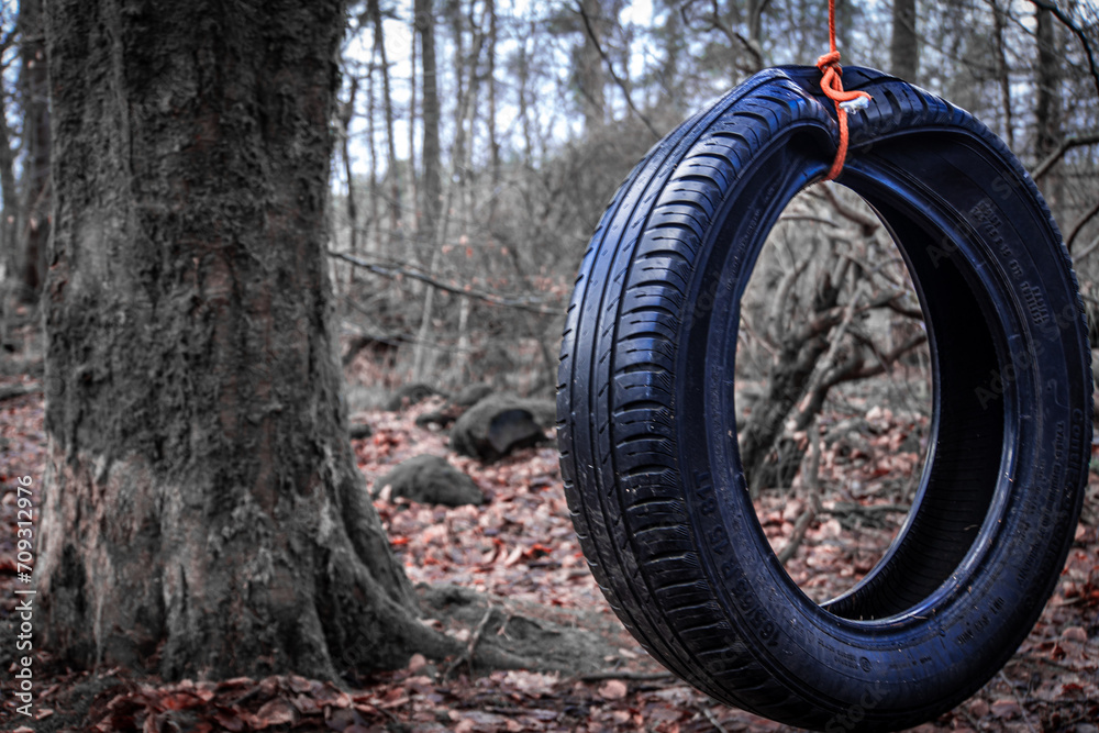 Naklejka premium Tyre swing in a Forrest