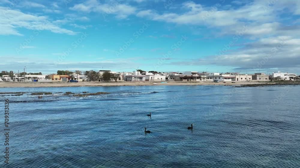 3 cormorants, Water birds in flight stationary over the sea 3 cormorants, Water birds in flight stationary over the sea