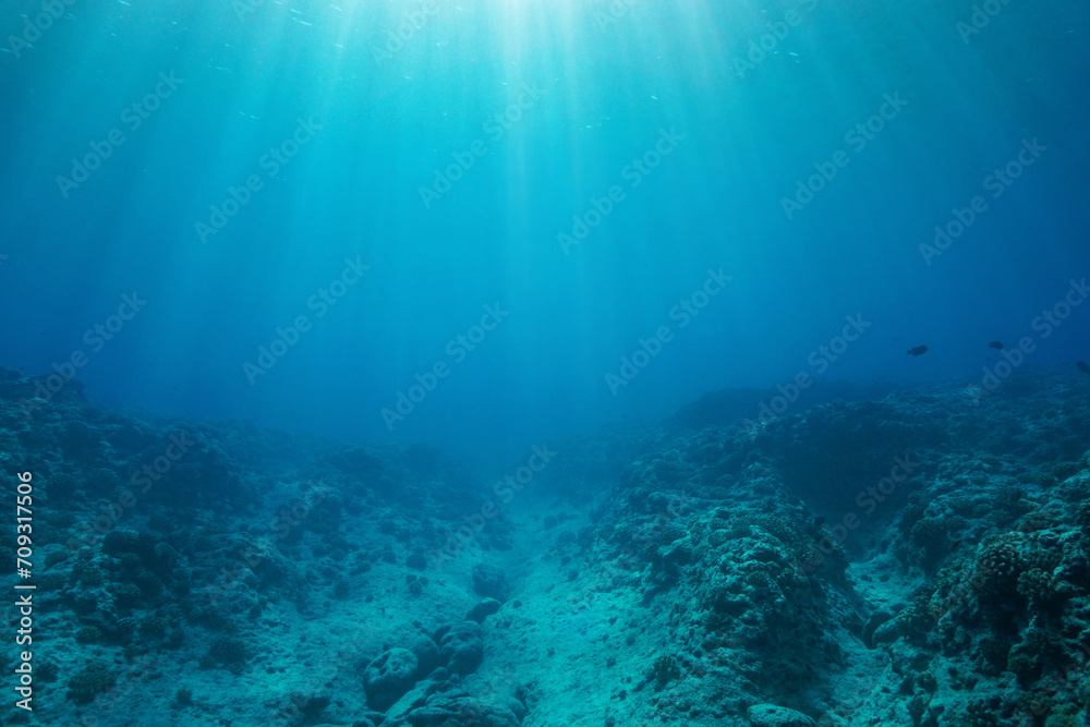 Rocky reef ocean floor with sunlight, natural underwater background in the south Pacific ocean, Tahiti, French Polynesia, natural scene - obrazy, fototapety, plakaty 