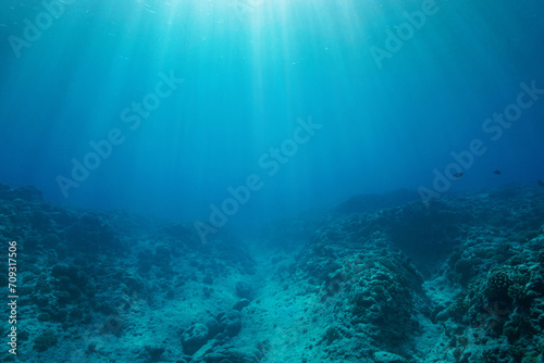 Rocky reef ocean floor with sunlight, natural underwater background in the south Pacific ocean, Tahiti, French Polynesia, natural scene photo
