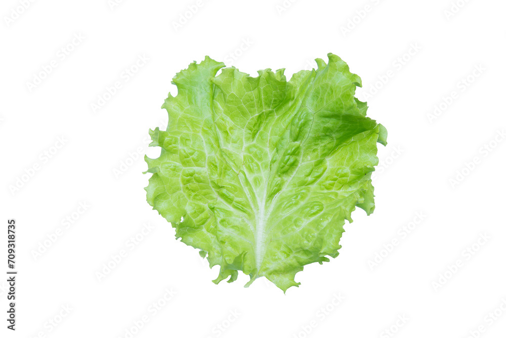 Lettuce. Salad leaf isolated on transparent background. Lettuce. Salad leaf isolated on transparent background.