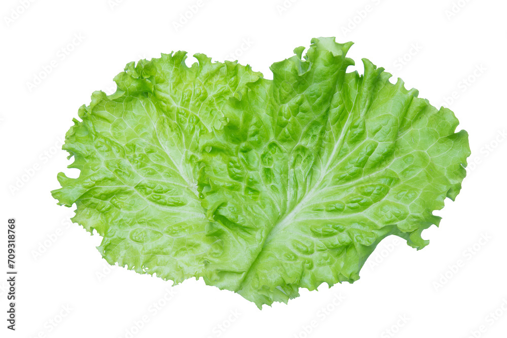 Lettuce. Salad leaf isolated on transparent background. Lettuce. Salad leaf isolated on transparent background.