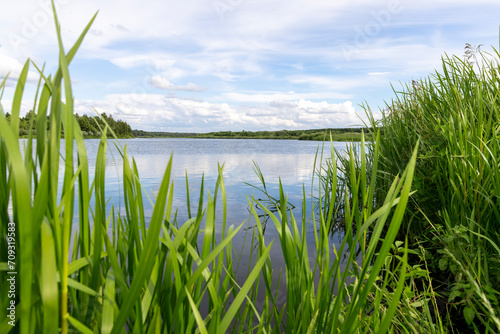 water with waves in the river in summer with green grass