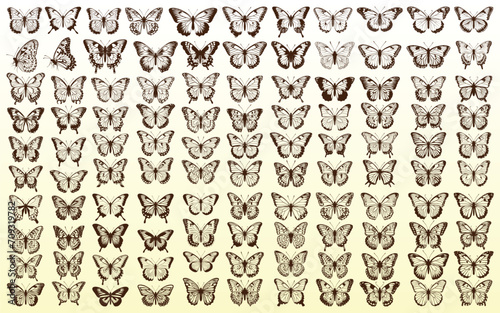 Monochrome Butterfly Silhouettes Vector Collection © Adopik