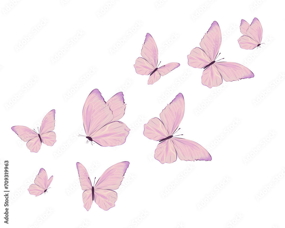 pink butterfly on white background