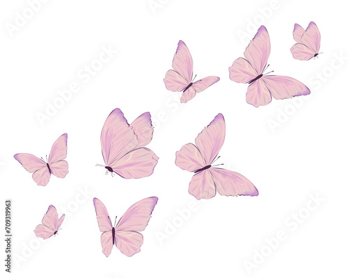 pink butterfly on white background © gltekin