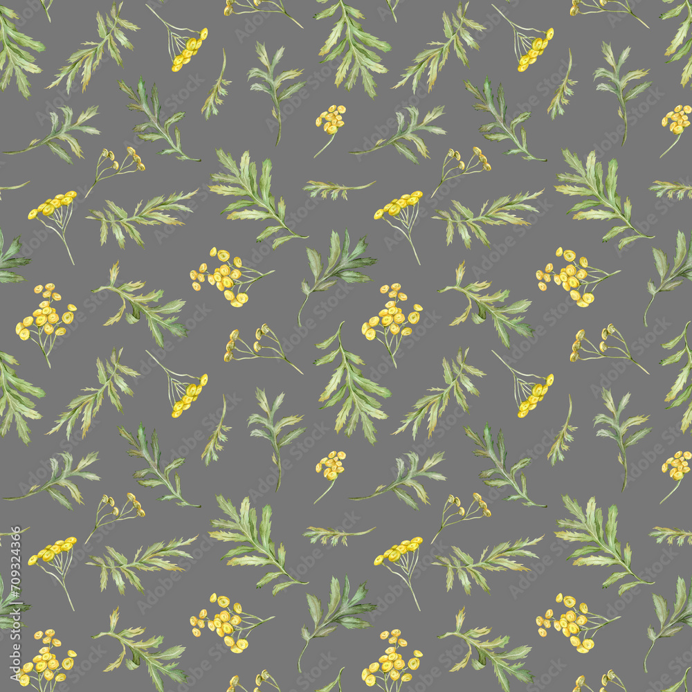 Seamless pattern watercolor common tansy. Yellow field flowers. Hand drawn illustration isolated background. Wallpaper with botanical medicinal wildflowers Seamless pattern watercolor common tansy. Yellow field flowers. Hand drawn illustration isolated background. Wallpaper with botanical medicinal wildflowers