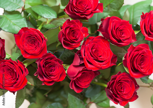 red roses valentines day love romantic 