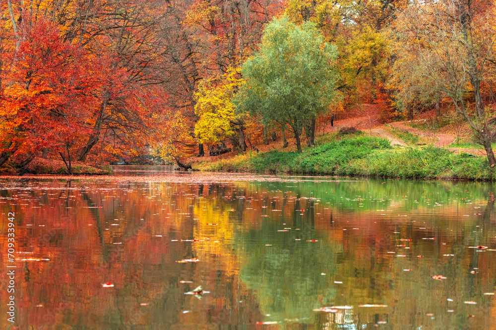 Beautiful autumn forest with yellow-red colors next to the lake, reflected in the water