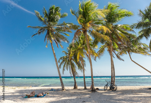Fototapeta Naklejka Na Ścianę i Meble -  Palms on the beach Giron - Cuba