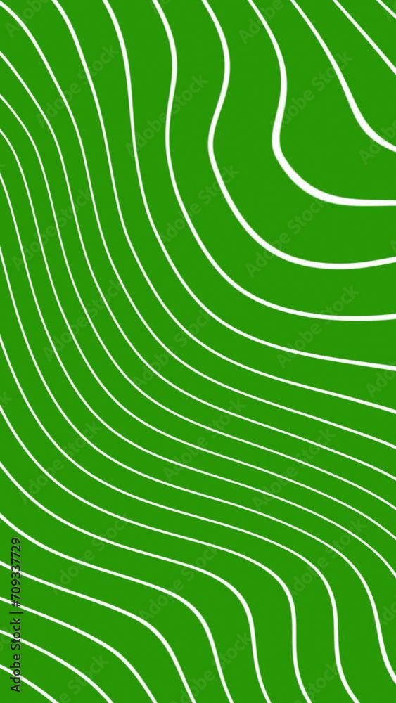 Abstract thin white color wavy line over green color background. wavy lines flowing grey white background seamless loop. flat animated motion graphic background.