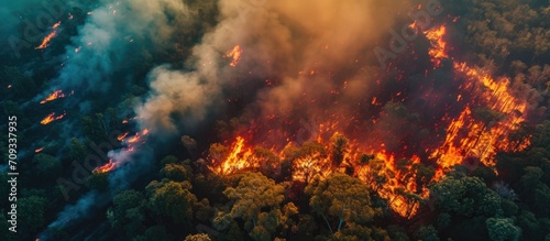 Aerial view of nature ablaze with wildfire during the dry season. © AkuAku