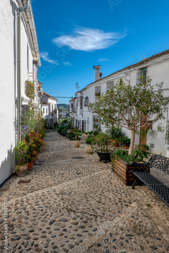 Whitewashed houses on a traditional street decorated with flower pots in the pretty village of Jimena de la Frontera, in the province of Cadiz, Andalusia, Spain © juanorihuela