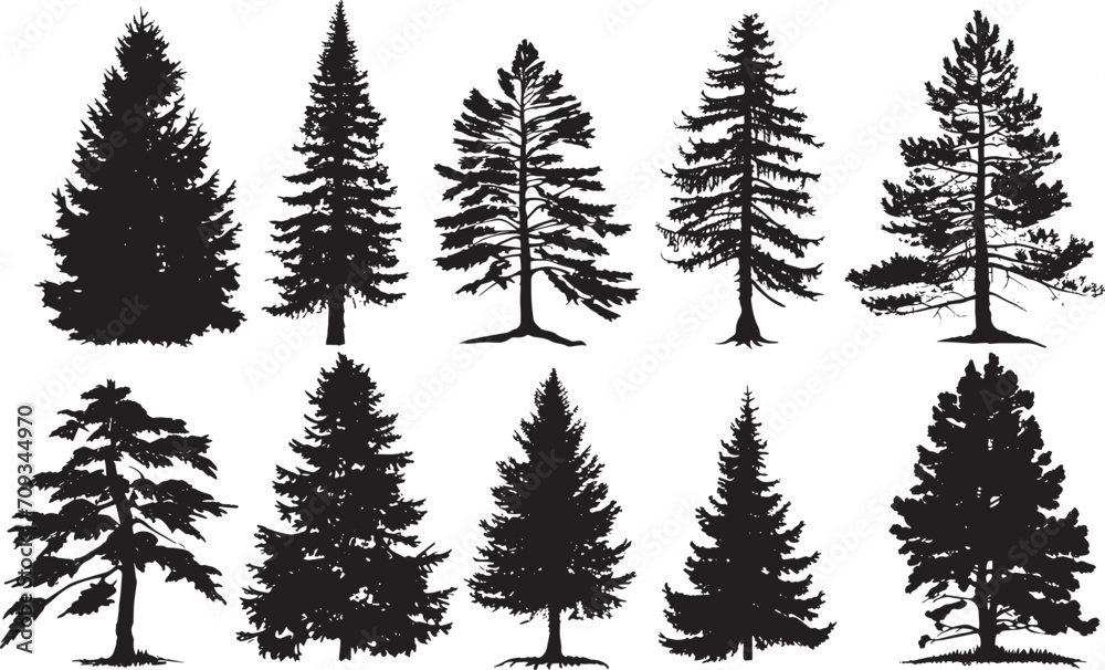 Set Trees. Hand drawn vector illustration Set Trees. Hand drawn vector illustration