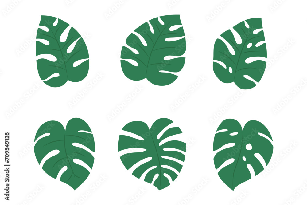 Obraz premium Monstera leaves collection. vector illustration
