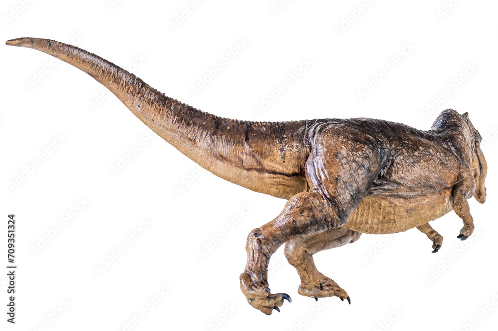 Trex Tyrannosaurus dinosaur on isolated background Trex Tyrannosaurus dinosaur on isolated background