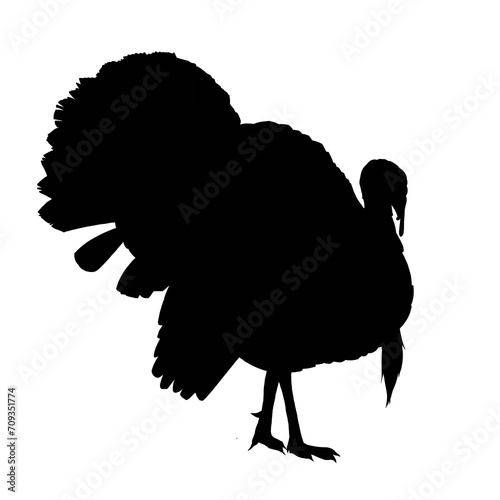 Silhouette of turkey isolated on white background  photo