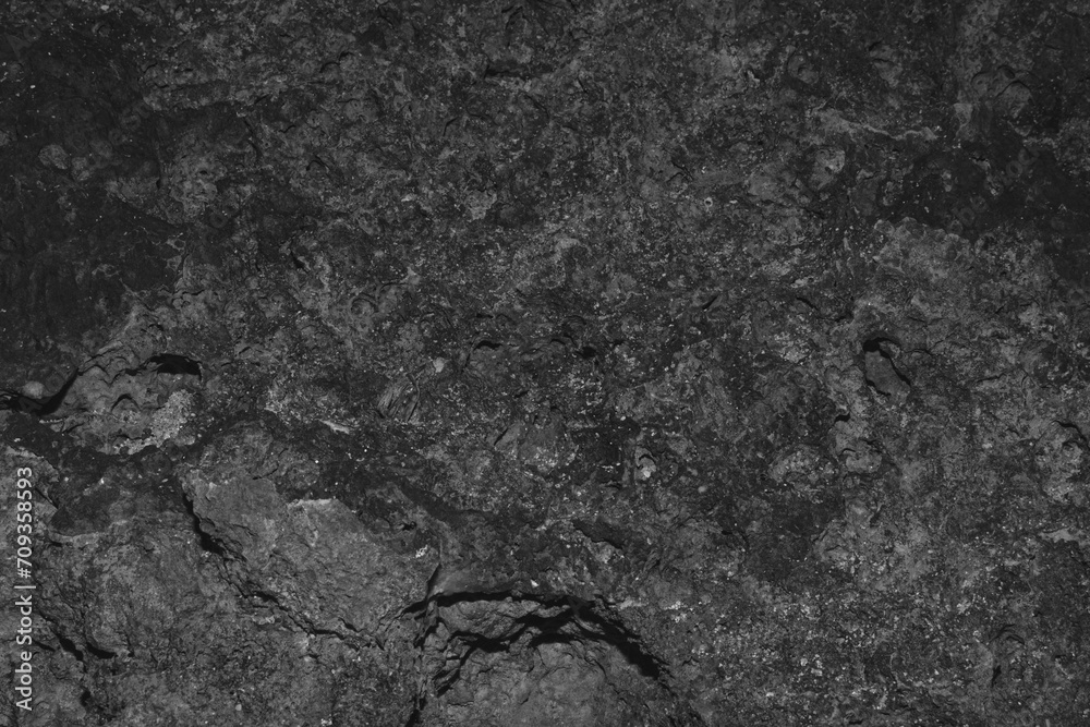 Naklejka premium coral rocks texture stone 