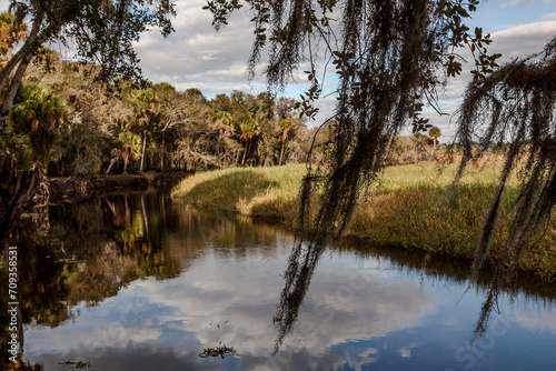 Reflection on the river