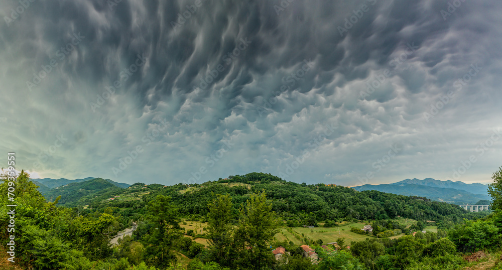 Obraz premium landscape with clouds