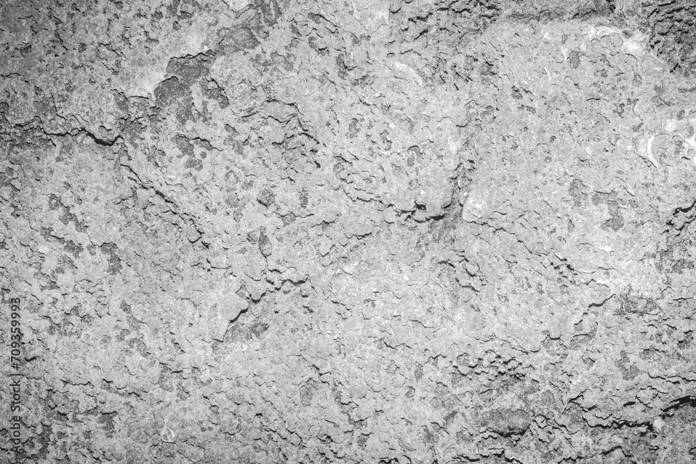 coral rocks texture stone coral rocks texture stone