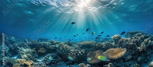 Underwater view of Huahine island's Pacific reef with fish and sunlight.