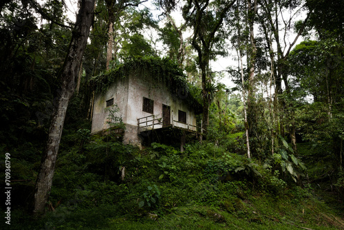 Casa abandonada na floresta
