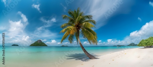 Beautiful palm tree on tropical island beach on background blue sky with white clouds and turquoise ocean on sunny day. Perfect natural landscape for summer vacation, ultra wide format. © taylork