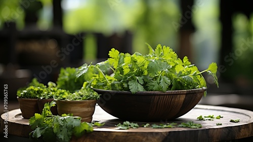 Lush and vibrant herb garden with basil, parsley, and cilantro on a rustic natural wood backdrop © Andrei