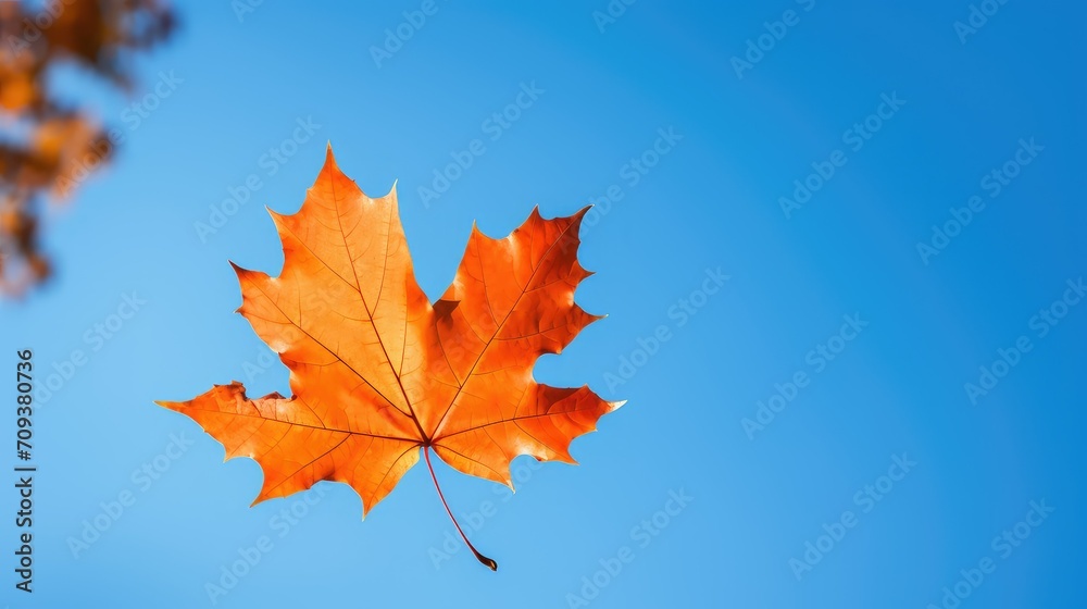 Fototapeta premium orange leaf autumn background illustration yellow red, season trees, colors vibrant orange leaf autumn background