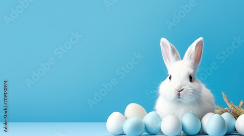 Fluffy white rabbit with easter eggs before blue background © britaseifert