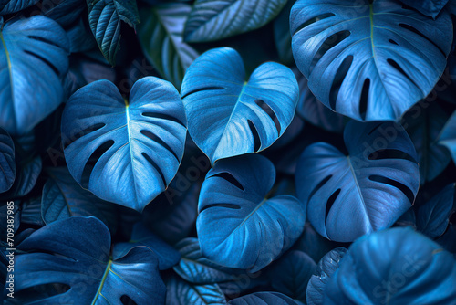 Beautiful dark background of blue leaves. Top view.