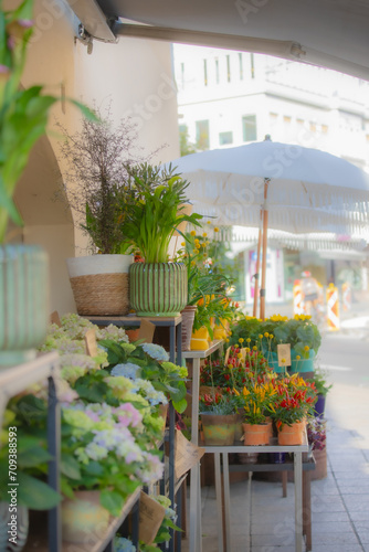 Fototapeta Naklejka Na Ścianę i Meble -  Street Flower Shop