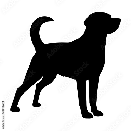 Labrador Dog  Labrador SVG Bundle  Labrador Svg  Labrador Png  Labrador Dog Svg Png  Labrador Head Svg  Labrador silhouette  Labrador Clipart  Dog Svg