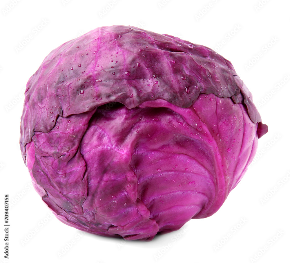 Fototapeta premium One raw red cabbage with water drops isolated on white