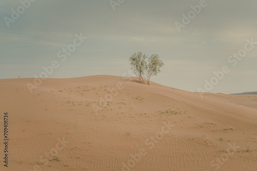 Sunset view of Sand dunes in XiangshaWan, or Singing sand Bay, China
