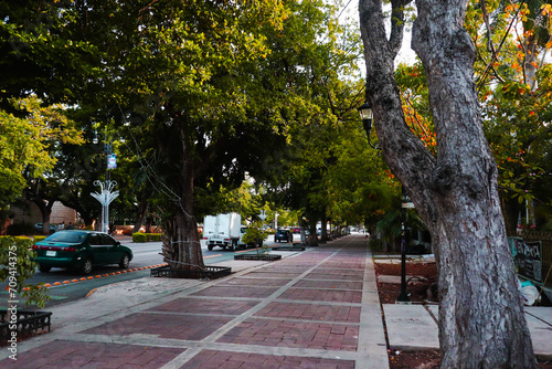 Calles de paseo de Montejo photo