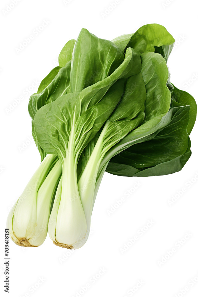 Bok choys isolated on white background PNG