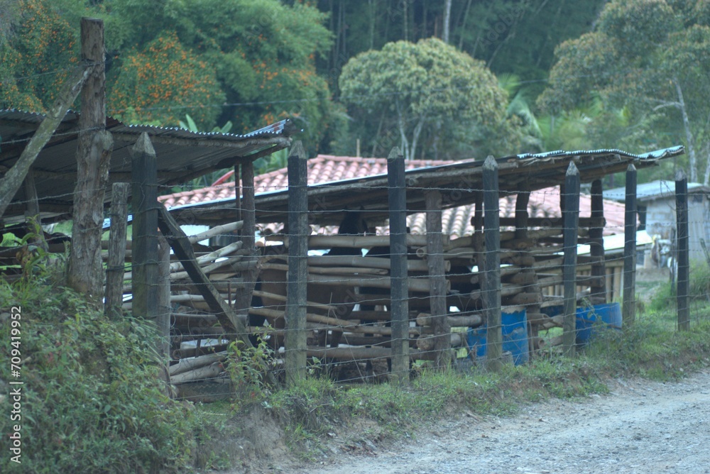 Fototapeta premium fence, landscape, nature, tree, grass, wooden, wood, trees, bridge, sky, countryside, rural, path, road, summer, forest, gate, blue, farm, meadow, park, water, field, outdoors, view