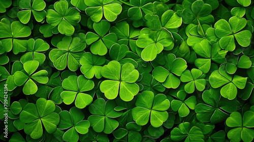 Shamrock four leaf clover background for St Patrick's day celebration