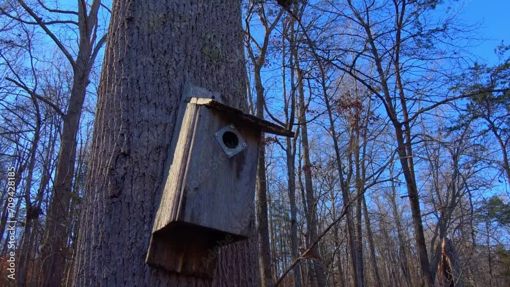 bird house on tree