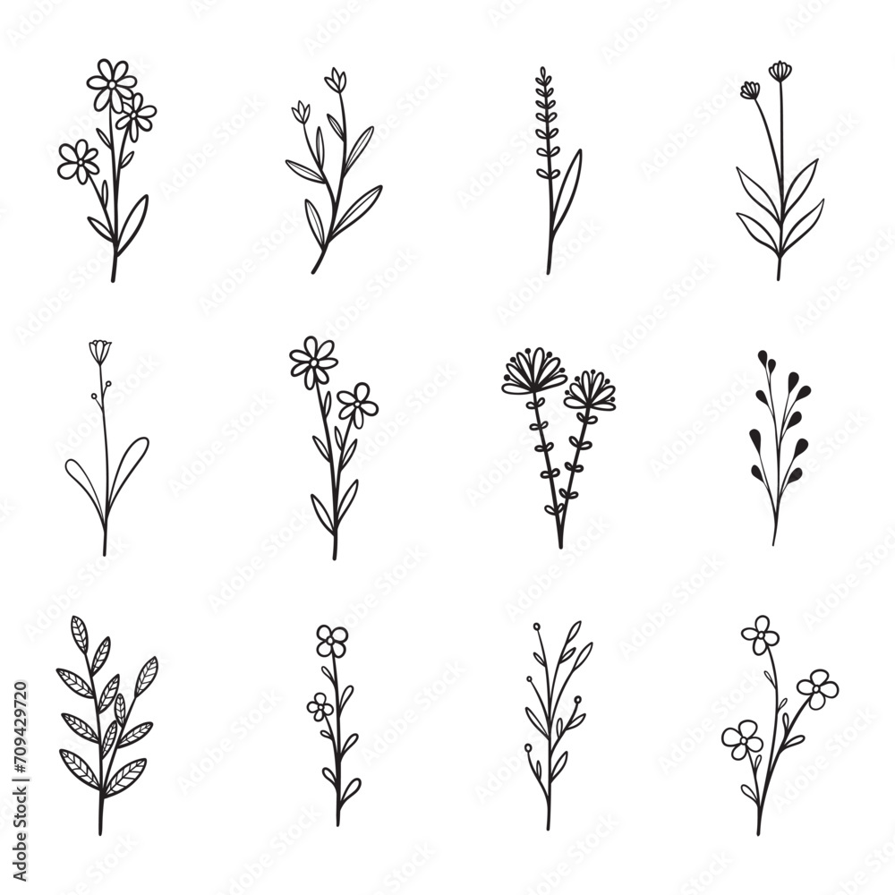 hand drawn plants botanical elements vector hand drawn plants botanical elements vector